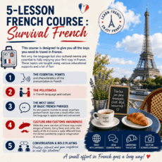5-lesson course - Survival French